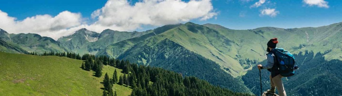 Bingöl Uçak Bileti