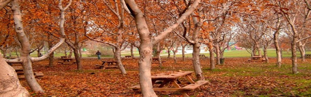 İstanbul Denizli Uçak Bileti