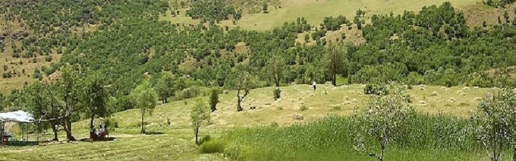 İzmir Bingöl Uçak Bileti