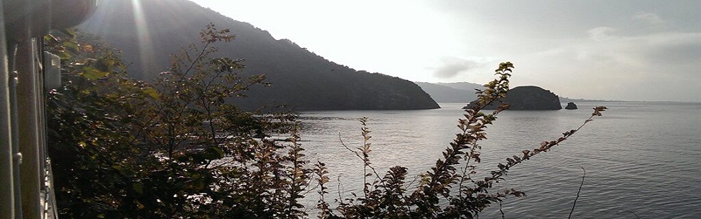 Ordu Uçak Bileti