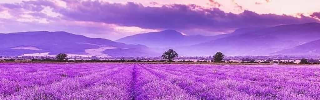 Ankara Isparta Uçak Bileti