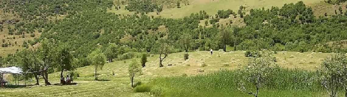 Adana Bingöl Uçak Bileti