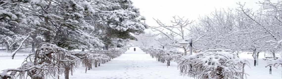 Adana Denizli Uçak Bileti