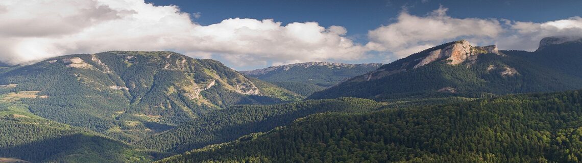 Dalaman Kastamonu Uçak Bileti
