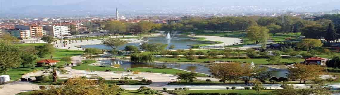 Erzurum Denizli Uçak Bileti