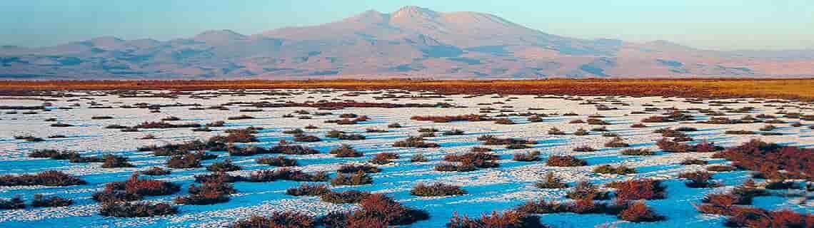 Erzurum Kayseri Uçak Bileti