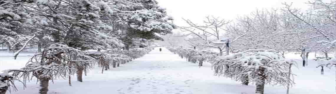 Kayseri Denizli Uçak Biletİ