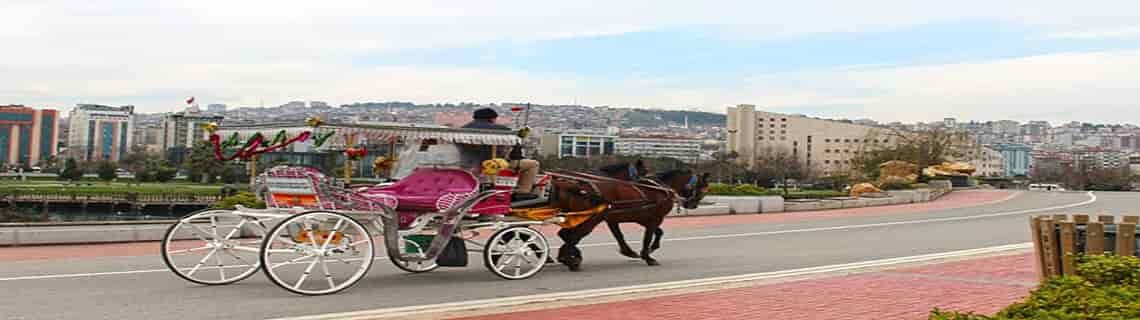 Kayseri Samsun Uçak Bileti