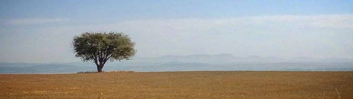 Ağrı Kastamonu Uçak Bileti