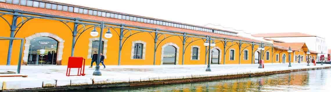 Kars İzmir Uçak Bileti