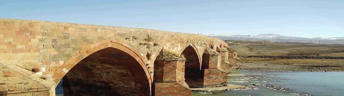 Ağrı Erzurum Uçak Bileti