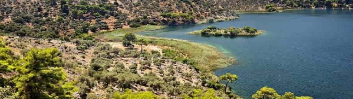 Sivas Dalaman Uçak Bileti