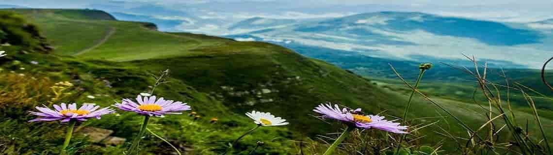 Trabzon Şırnak Uçak Bileti