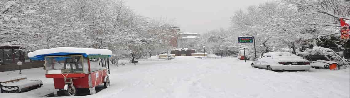 Giresun Iğdır Uçak Bileti