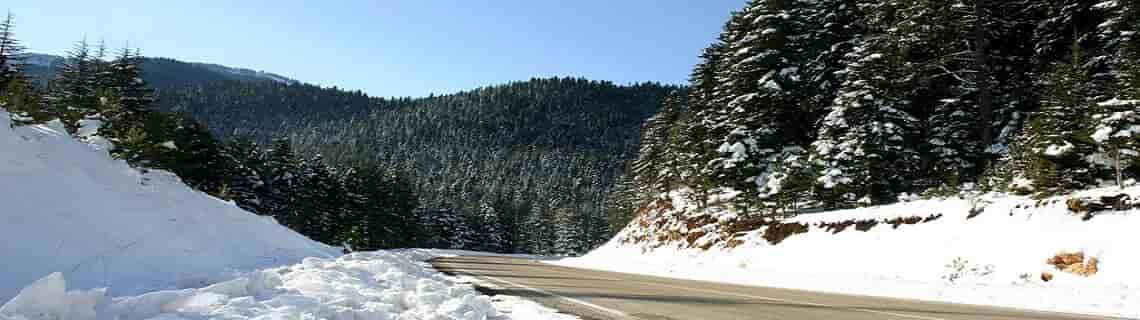 Siirt Kahramanmaraş Uçak Bileti