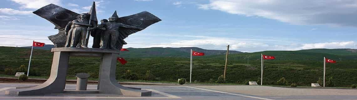 Sinop Bingöl Uçak Bileti