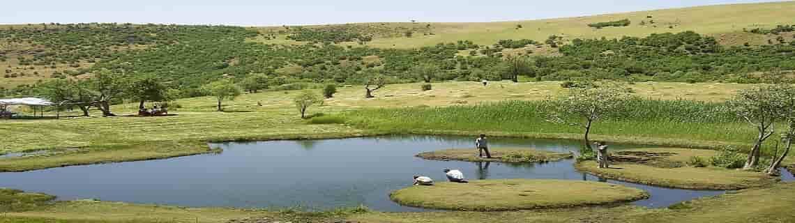 Zonguldak Bingöl Uçak Bileti