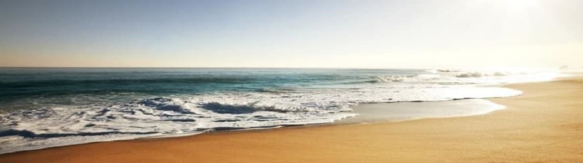 Ordu Dalaman Uçak Bileti