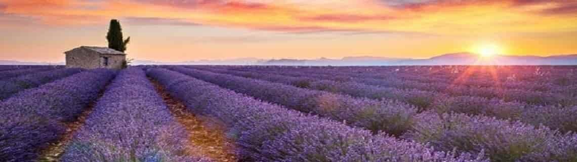 Ordu Isparta Uçak Bileti