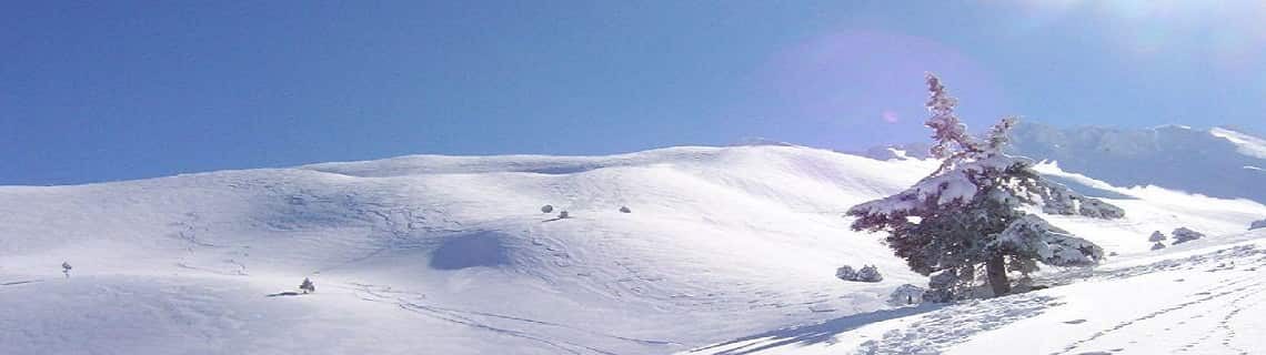 Sinop Isparta Uçak Bileti
