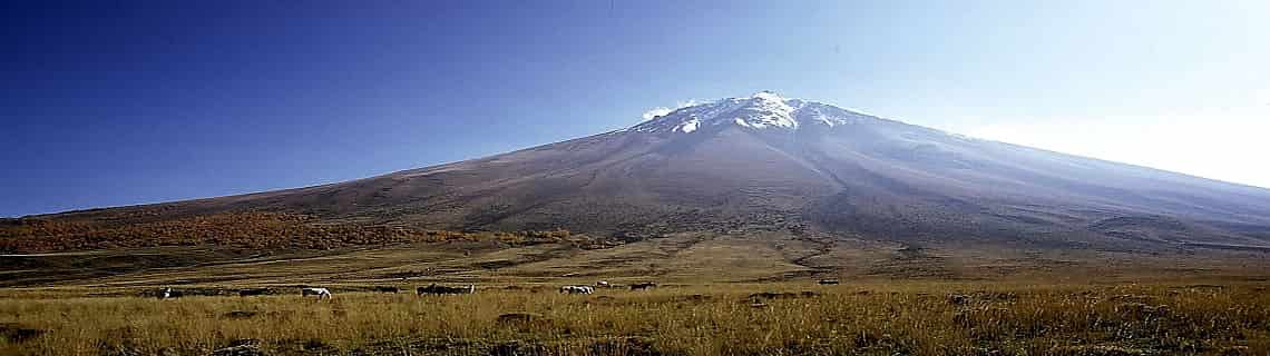 Denizli Iğdır Uçak Bileti