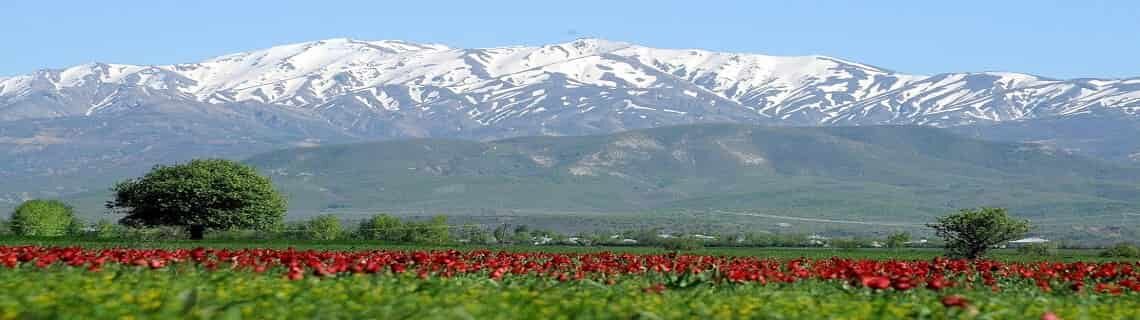 Kıbrıs Bingöl Uçak Bileti