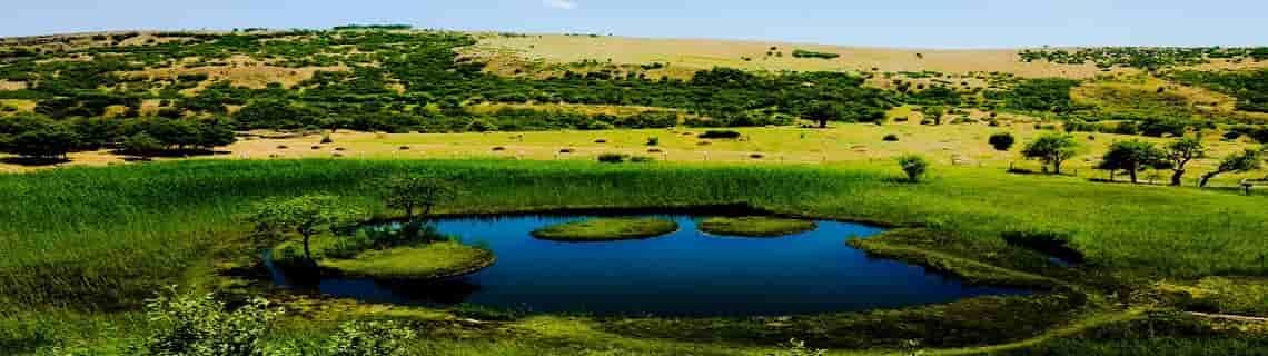 Lefkoşa Bingöl Uçak Bileti
