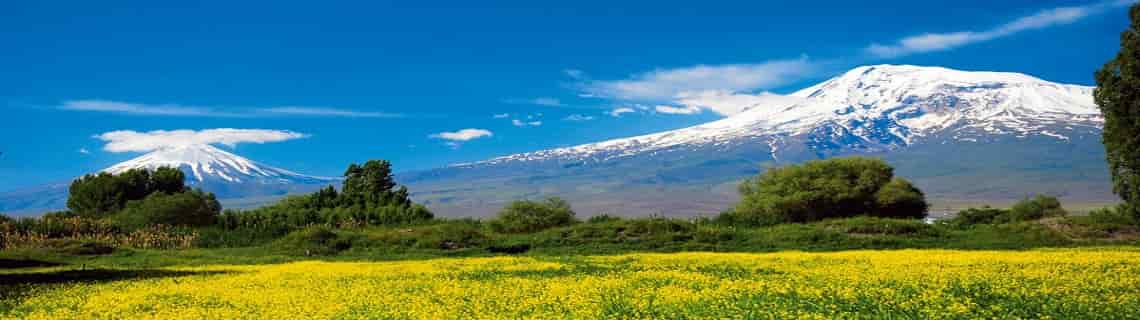 Lefkoşa Iğdır Uçak Bileti