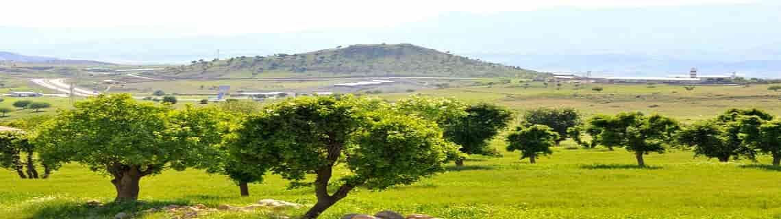 Merzifon Şırnak Uçak Bileti