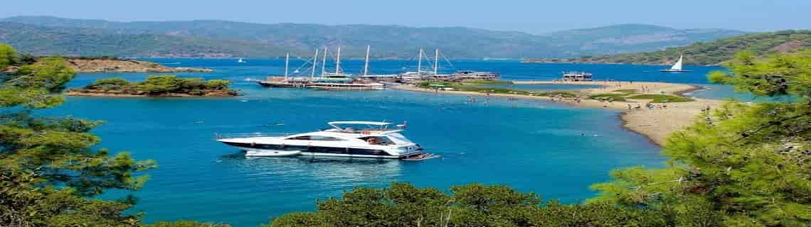 Muş Dalaman Uçak Bileti