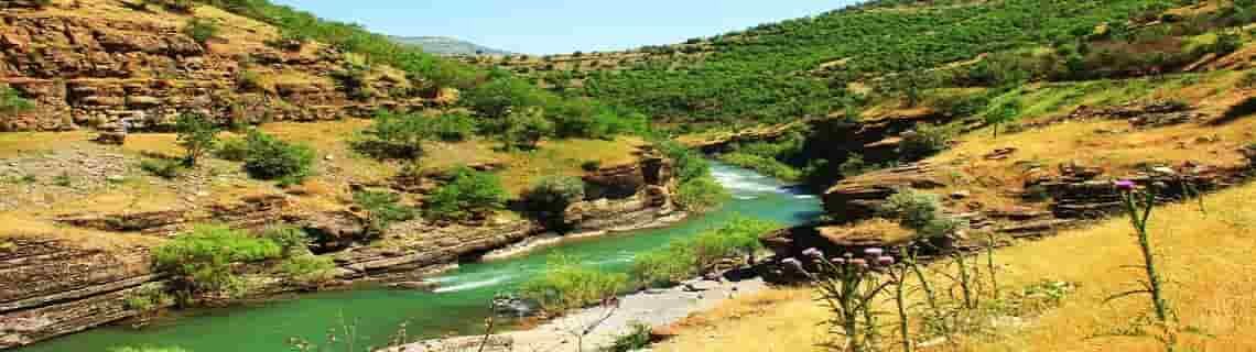 Tokat Şırnak Uçak Bileti