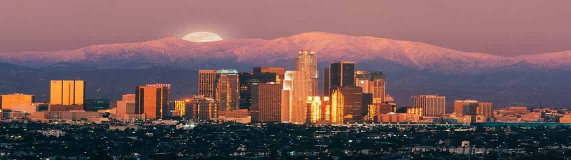 Los Angeles Uçak Bileti